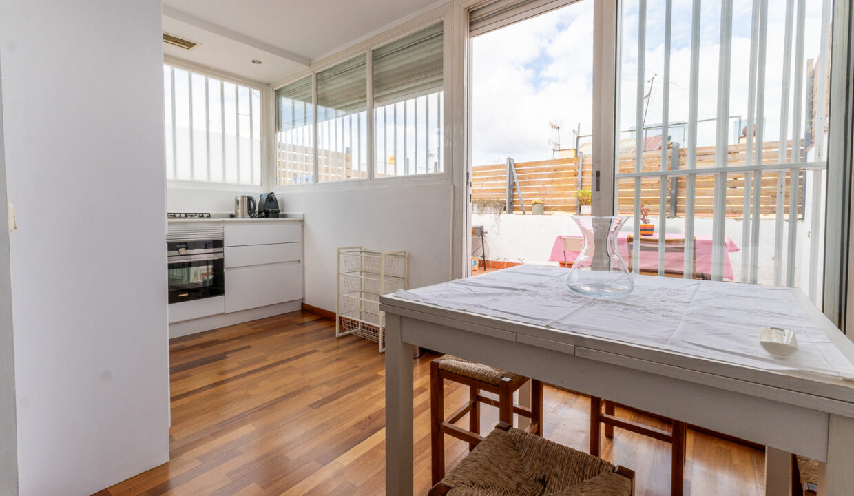 Aurora-3